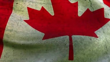 Kanada rüzgarda sallayarak güzel bayrak
