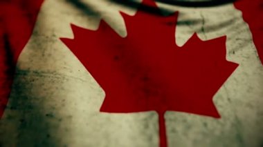 Kanada rüzgarda sallayarak güzel bayrak