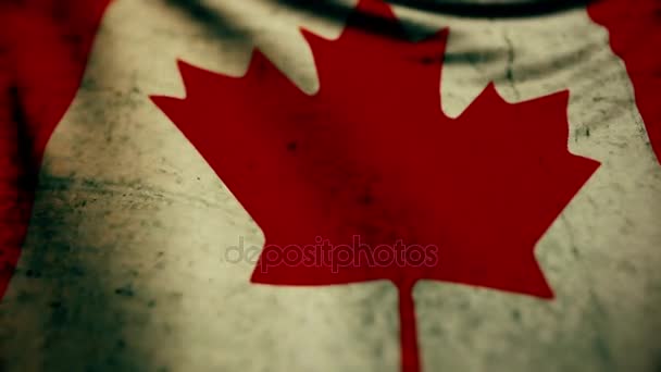 Mooie vlag van de Canada wuiven in de wind — Stockvideo