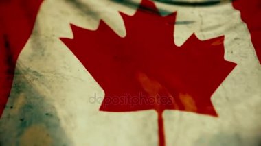 Kanada rüzgarda sallayarak güzel bayrak