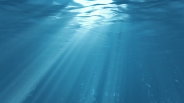 Scène sous-marine. Voyage d'été fond. Découvrez mes autres animations sous-marines et marines 