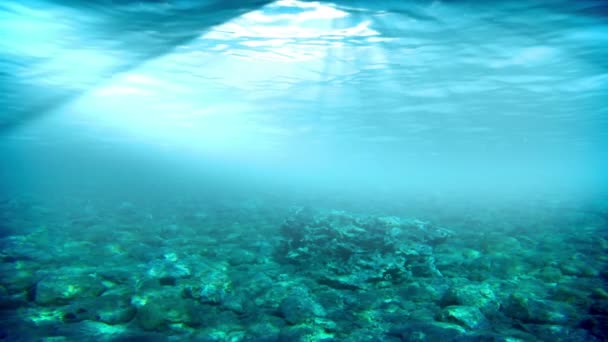 Underwater scen. Sommaren resor bakgrund. Kolla in min andra undervattens och seascape animeringar — Stockvideo