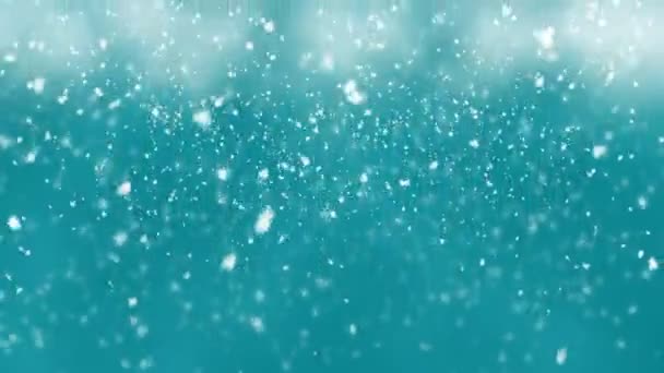 Caduta fiocchi di neve, sfondo neve — Video Stock