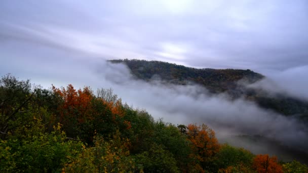 Mglisty górski krajobraz lasu rano — Wideo stockowe