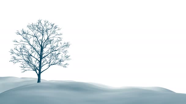 Mystiska vinter landskap majestätiska bergen på vintern — Stockvideo