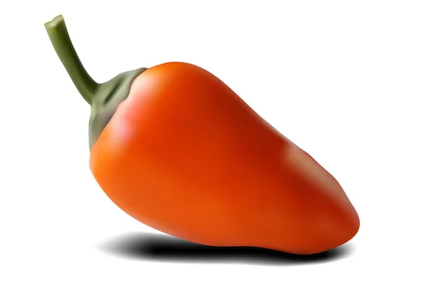 Röd Varm Kylig Paprika Vektorillustration Lätt Att Manipulera — Stock vektor