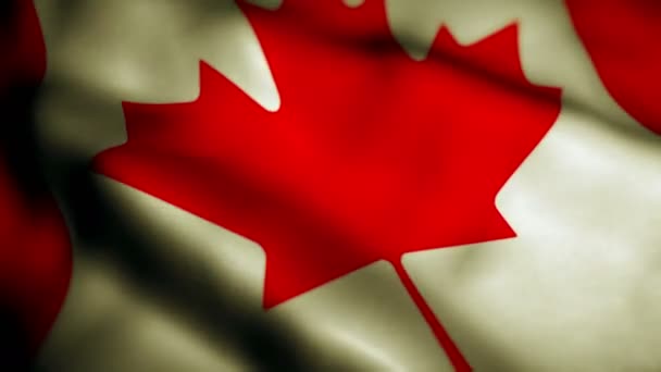 Bella Bandiera Del Canada Sventola Nel Vento — Video Stock