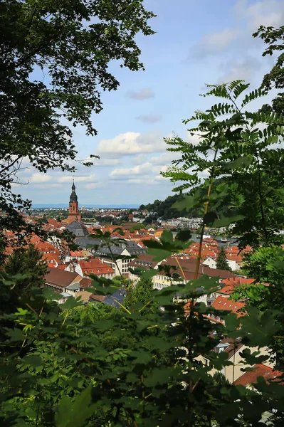 Heidelberg is een stad aan de Neckar in Duitsland — Stockfoto