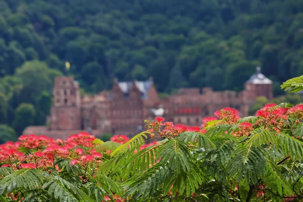 Heidelberg är en stad på Neckaren i Tyskland — Stockfoto