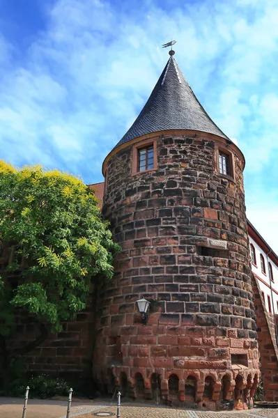 Heidelberg är en stad i Tyskland — Stockfoto