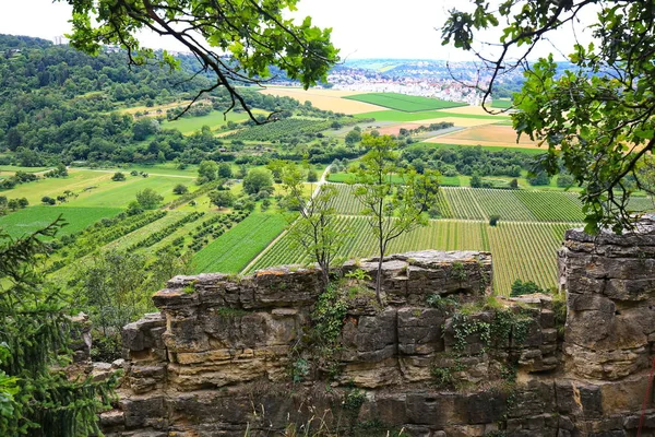 Hessigheim rotstuinen zijn zeer geschikt voor klimmen en wandelen — Stockfoto