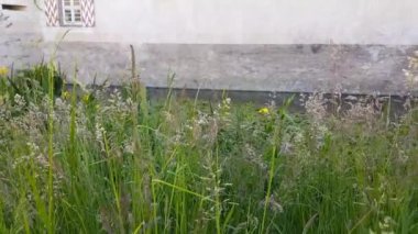 Sulz am Neckar 'daki Glatt şatosu