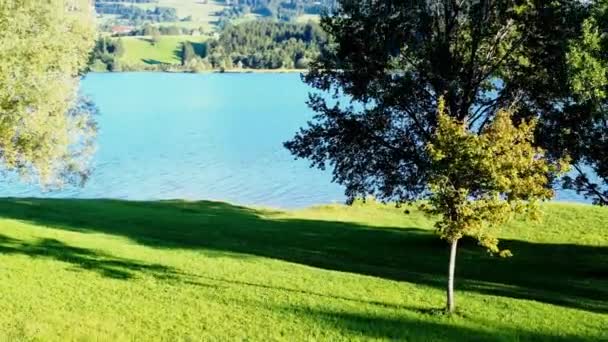 Rottachsee Près Sulzberg Est Lac Dans Les Contreforts Alpins — Video
