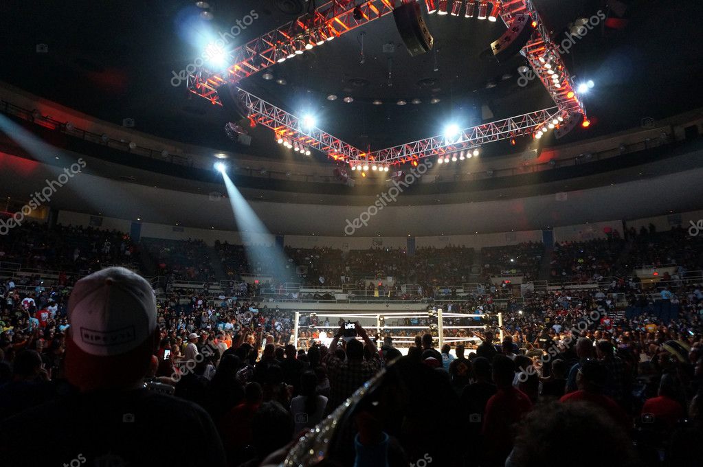 HONOLULU - JUNE 29, 2016: Crowd Watches action in Ring at WWE Live event at the Neal S. Blaisdell Center, Honolulu.