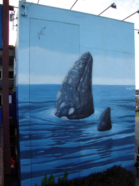 Murale di balene del Wyland — Foto Stock