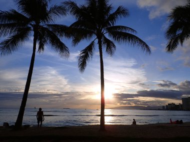 Waikiki, ABD - Mayıs 15: Dramatik aydınlatma günbatımının Waianae dağlar üzerine Hindistan cevizi ağaçları ile okyanusta yansıtan ve Waikiki Beach Oahu, Hawaii su üzerinde yelken tekne ile gökyüzünü aydınlatan ışık aracılığıyla. 15 Mayıs 2016.