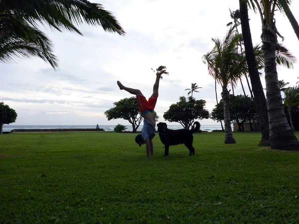 Man Handstanding on beach park at dusk next to black dog — Stock Photo, Image