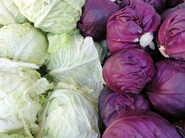 Reihen Rot- und Grünkohl — Stockfoto