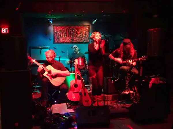 Mükemmel dalga gitarist, şarkıcı ve basçı çalış ritim Di