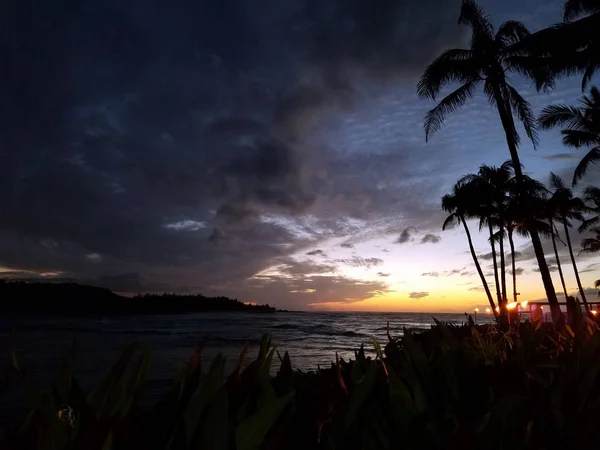 Atardecer sobre el océano visto a través de los árboles —  Fotos de Stock