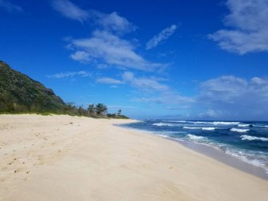 Kamp Harold Erdman Beach