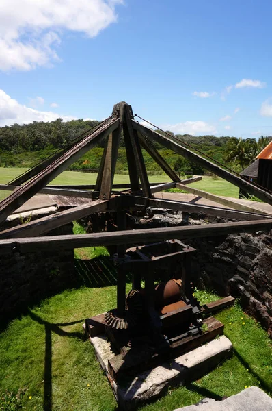 Buiten put waar cirkelen muildieren machines suikerriet breken aangedreven — Stockfoto