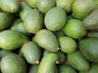 yeşil armut biçimli avokado paterni