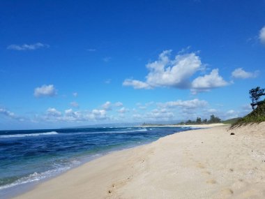 Kamp Harold Erdman Beach