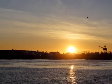 Günbatımı Oakland Inner Harbor ve uçan Alameda kuş ile