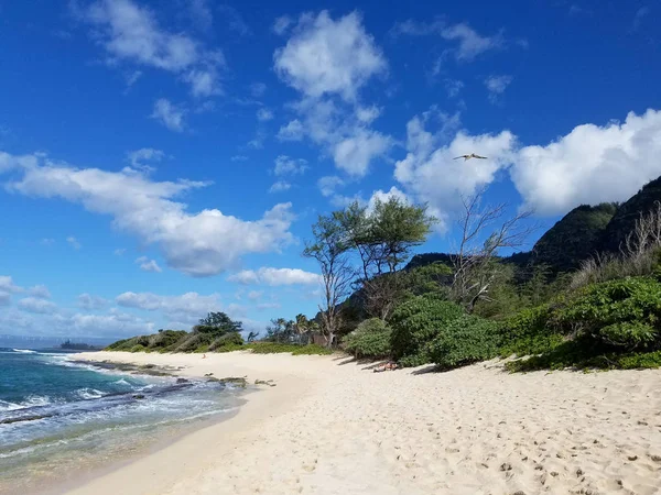 Sea Bird flys over Camp Harold Erdman Beach — Stock Photo, Image