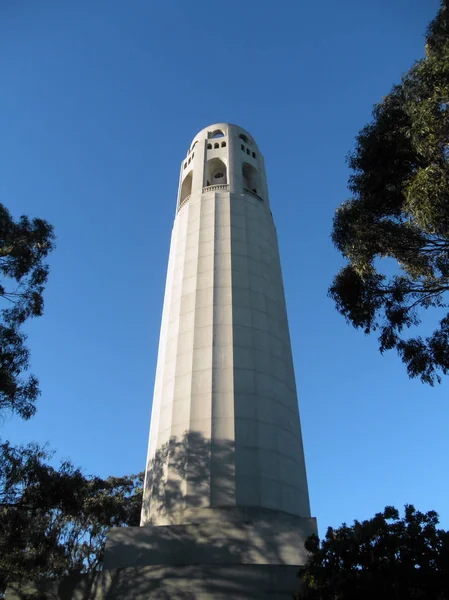 Coit Tower and surrouinding trees in San Francisco — Stock Photo, Image