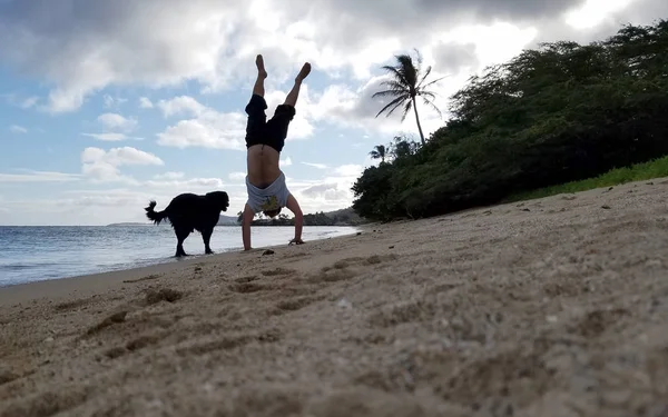 Man Handstands Beach Black Dog Next Him Wave Roll Shore — Stock Photo, Image