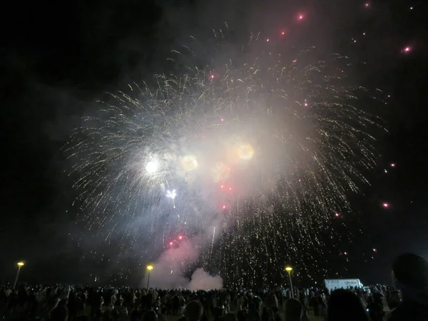 Los fuegos artificiales de Año Nuevo estallaron en el aire mientras la gente mira la exhibición en —  Fotos de Stock