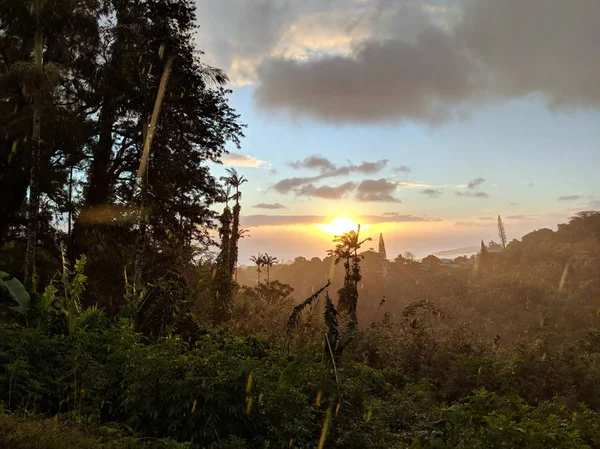 Rainy Sunset más allá de la silueta tropical de los árboles —  Fotos de Stock