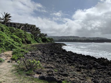 Napaka ve yol boyunca yüksek Hindistan cevizi ağaçları ile kayalık sahil