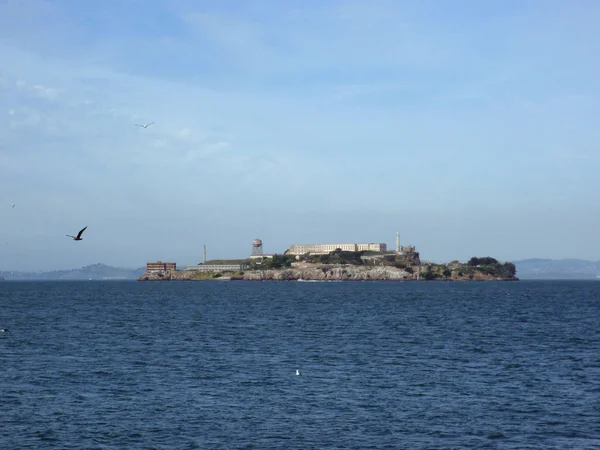 Isla Alcatraz Con Gaviotas Vuelo Con Faro Prisión Vista Bonito — Foto de Stock