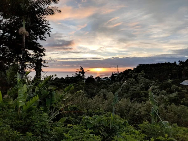 Sonnenuntergang vorbei an tropischen Baumsilhouetten — Stockfoto