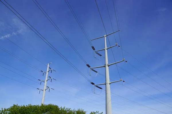 Dos postes de la línea eléctrica del metal sobre los árboles —  Fotos de Stock