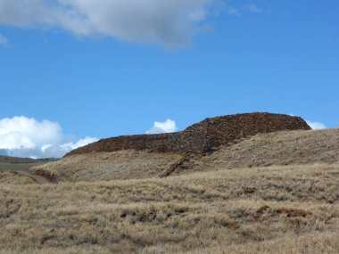Puu-koholu Heiau.