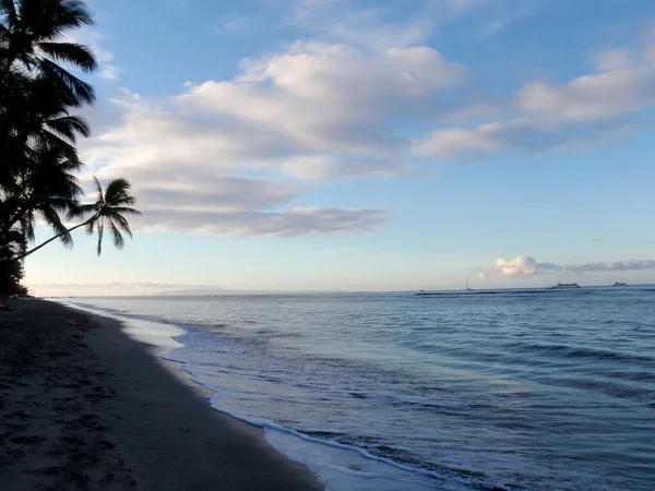 Árboles de coco cuelgan sobre la playa de Lahaina al anochecer — Foto de Stock