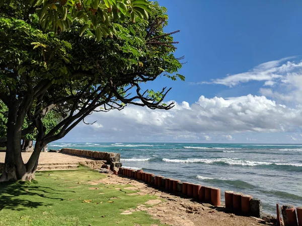 Grass field, and trees in park with shore wall next to shallow o — Φωτογραφία Αρχείου