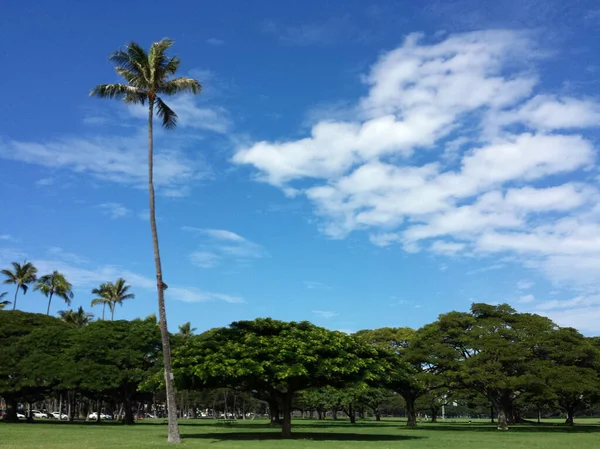 Kapiolani Park at during day — Stock Photo, Image