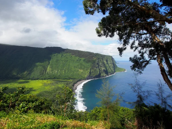 Waipiʻo Valley Lookout — ストック写真