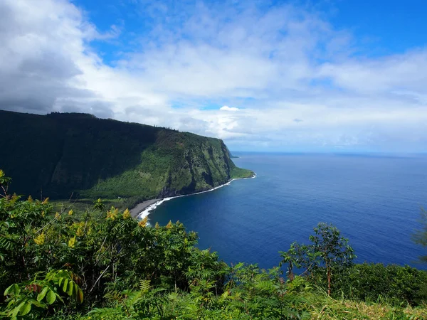 Waipio-Talausblick Stockfoto