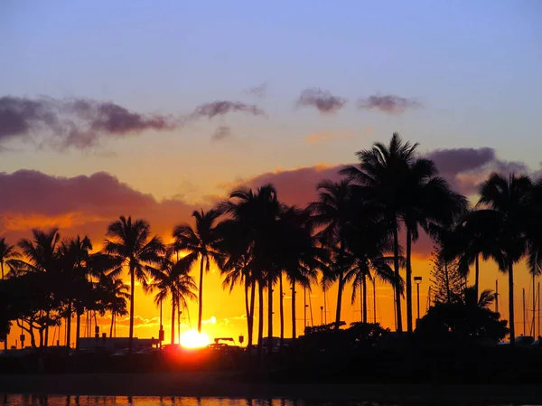 Sunsets through Coconut trees over with light reflecting on lago — Stock Photo, Image