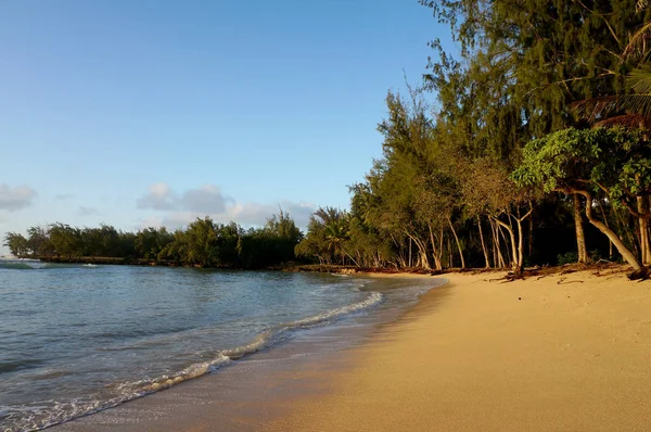 Strand Der Kawela Bay Der Abenddämmerung Der Turtle Bay Oahu — Stockfoto