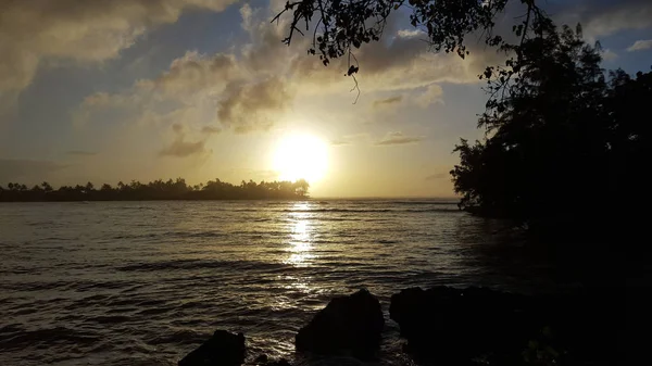 Sunset Ocean Trees Waves Moving Shore North Shore Oahu — стокове фото