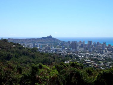 Honolulu şehri, Elmas 'tan Manoa' ya Kaimuki, Kahala ve okyanus manzarasıyla Oahu 'da güzel bir günde yüksek dağlarda, ön planda yüksek ağaçlarla birlikte..  