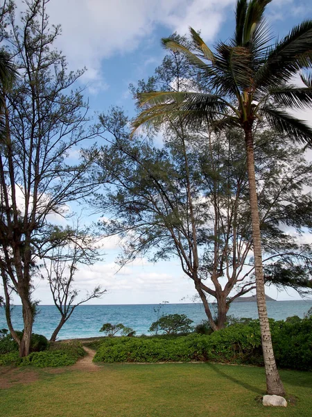 Grass Field Sand Pathway Leading Ocean Surrounded Plants Trees Waimanalo — Stock Photo, Image