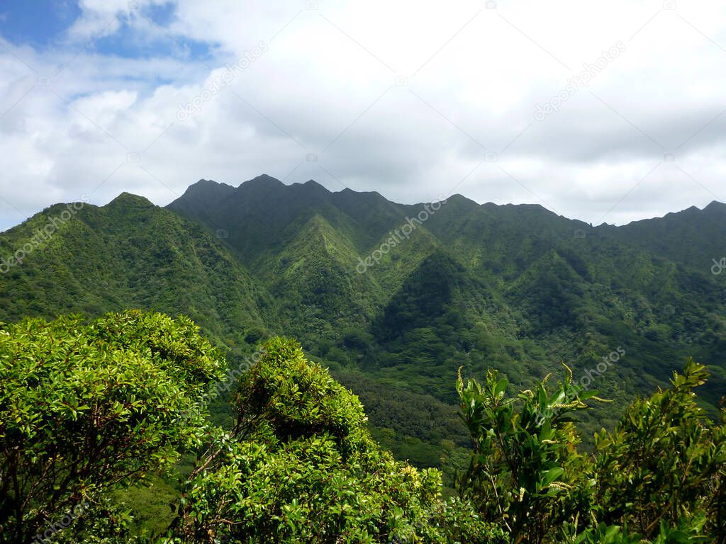 Manoa Valley and Mount Olympus, Waahila, peak more than 2,300 feet above sea level covered in a lush green forest and blue skies above.